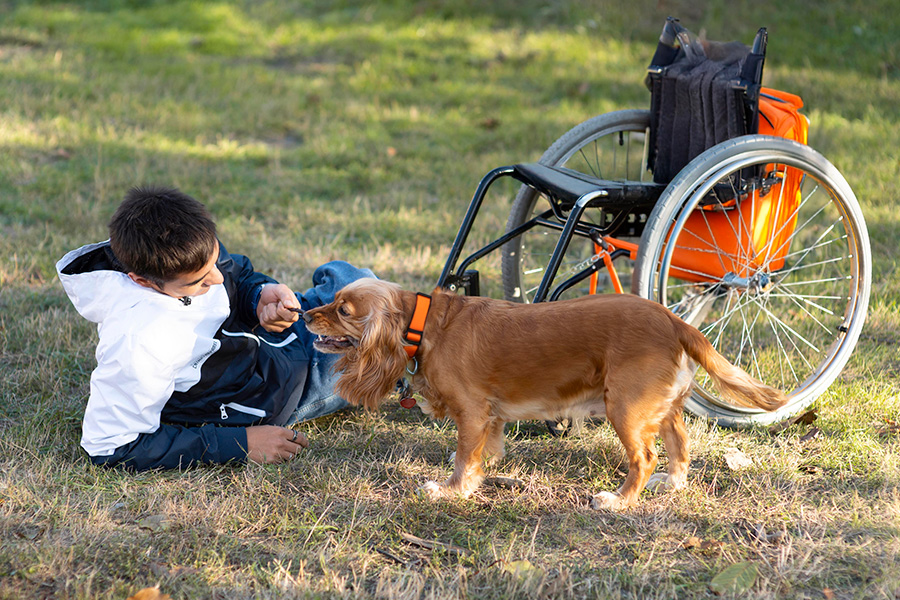 en la imagen vemos un niño con discapacidad disfrutando de su terapia con animales